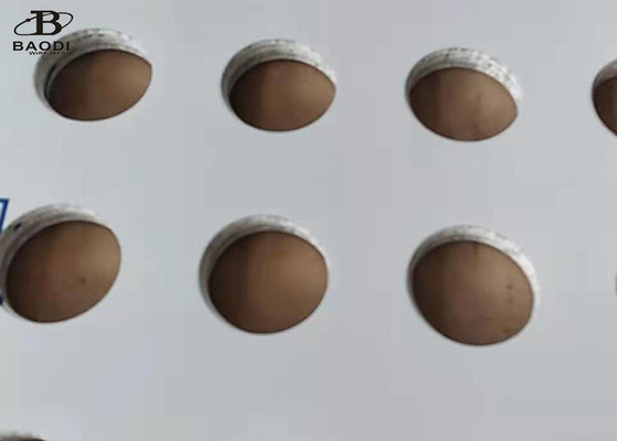 1m x 2m Filtersieb-lochende Platten-perforierte Metallmasche