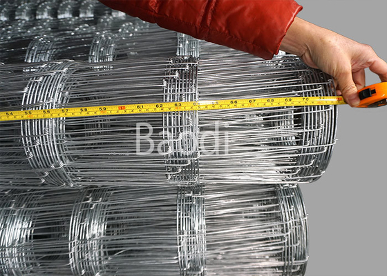 Galvano galvanisierter Maschendraht-Zaun 74 Zoll Höhen-für Feld, Bauernhof-Zaun