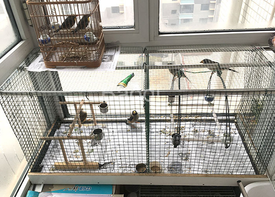 2 Masche galvanisierte Hardware-Stoff-überzogene 19 Messgerät-dunkelgrüne Polyfarbe